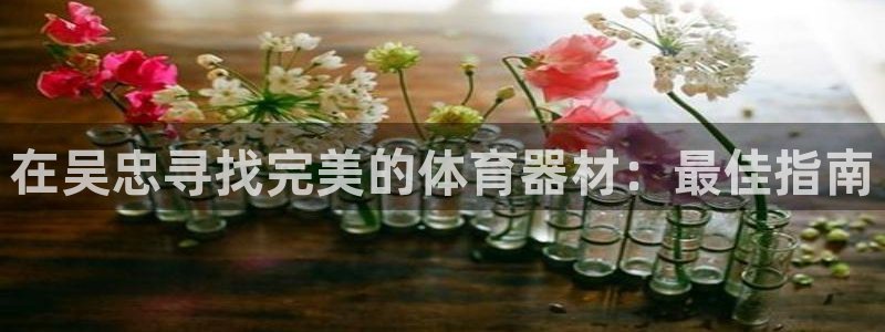 星欧娱乐平台：在吴忠寻找完美的体育器材：最佳指南