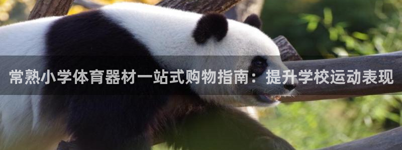 星欧娱乐最建议买的三个产品是什么呢
