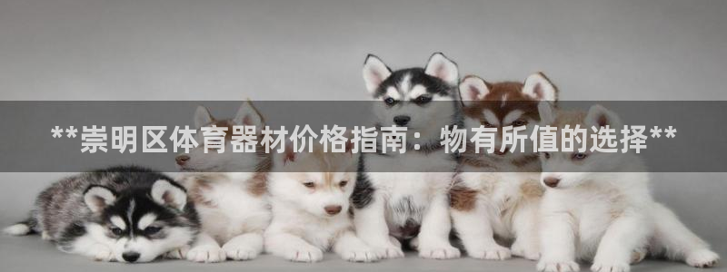 星欧娱乐属于什么档次的软件