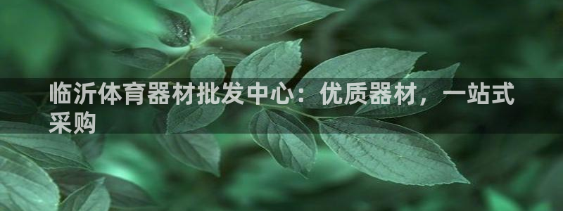 星欧娱乐挂机赚钱是真的吗：临沂体育器材批发中心：优质