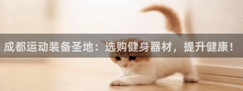 星欧娱乐的官方版本更新内容：成都运动装备圣地：选购健