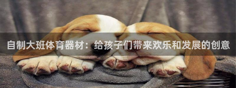 星欧娱乐最建议买的三个游戏账号：自制大班体育器材：给