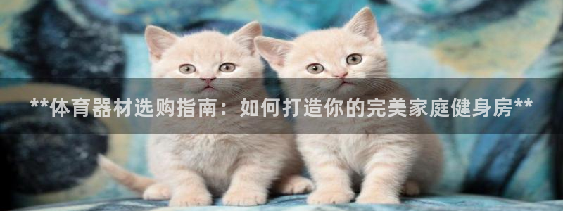 星欧娱乐的创始人背景故事介绍
