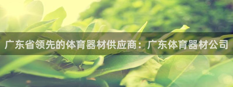 星澳娱乐公司地址：广东省领先的体育器材供应商：广东体