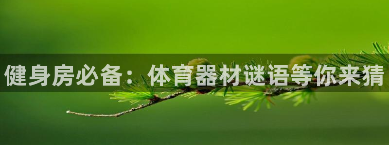 星欧娱乐官网下载：健身房必备：体育器材谜语等你来猜