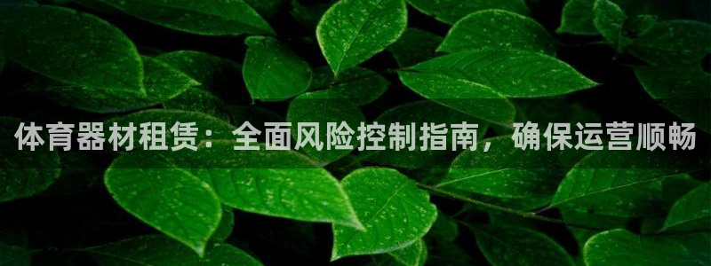 星欧娱乐挂机赚钱是真的吗