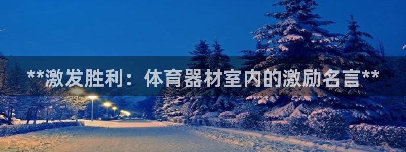 星游娱乐1官网下载