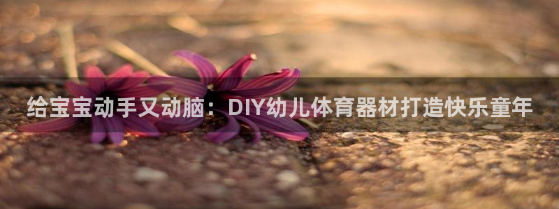 星欧娱乐联和哪个品牌合作：给宝宝动手又动脑：DIY幼儿体育器