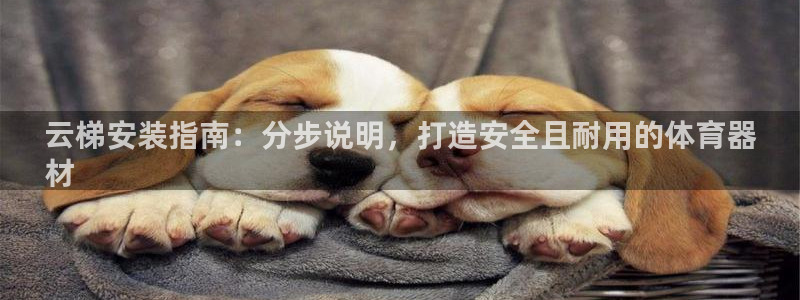 星欧娱乐扣款流程详解视频下载：云梯安装指南：分步说明，打造安