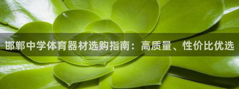星欧娱乐工客服电话24小时人工服务：邯郸中学体育器材
