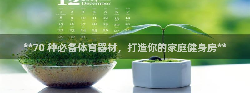星欧娱乐扣款流程详解视频教程：**70 种必备体育器