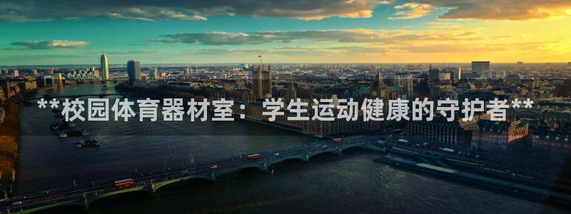 星欧娱乐是正规平台吗安全吗是真的吗：**校园体育器材