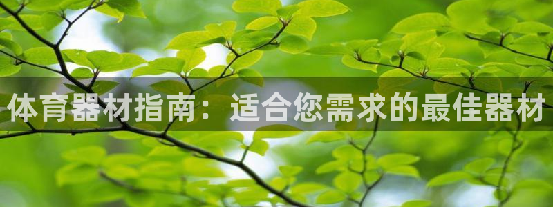星欧娱乐平台怎么样知乎赚钱吗：体育器材指南：适合您需