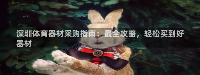 星欧娱乐公司地址：深圳体育器材采购指南：最全攻略，轻松买到好