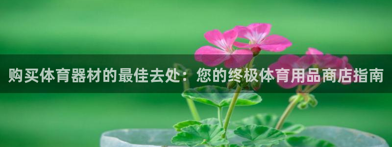 星欧娱乐v8.0.3最新版本更新内容介绍：购买体育器材的最佳