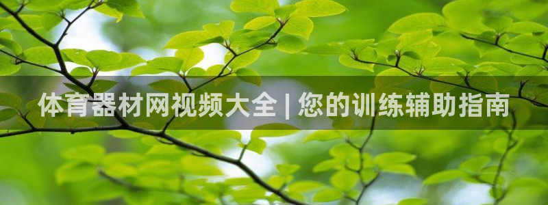 星欧娱乐公司创始人背景故事是什么：体育器材网视频大全