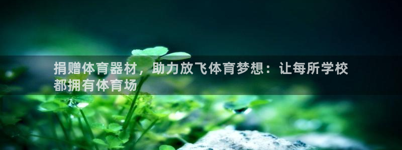 星欧娱乐公司地址：捐赠体育器材，助力放飞体育梦想：让