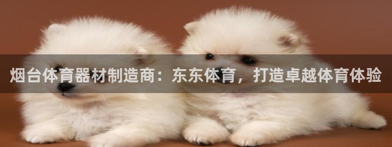 星欧娱乐是什么品牌：烟台体育器材制造商：东东体育，打