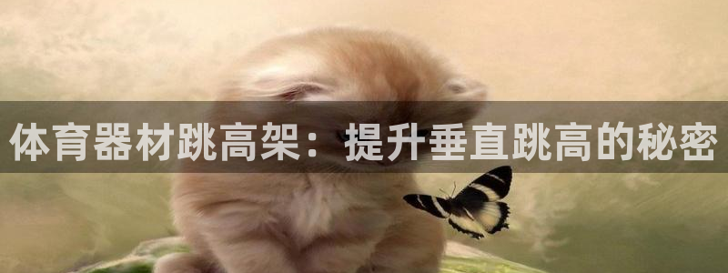 星欧娱乐平台怎么样啊可靠吗：体育器材跳高架：提升垂直