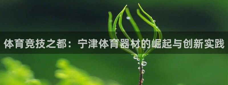 星欧娱乐平台测速线路怎么设置