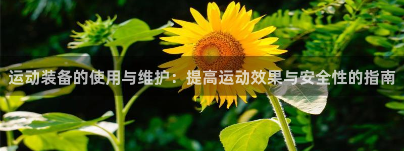 星欧娱乐扣款流程详解视频教程