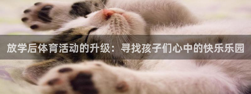 星澳娱乐公司
