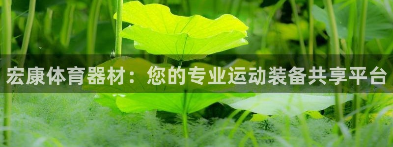星欧娱乐公司创始人背景故事