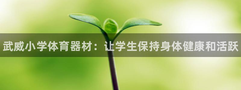 江苏星奥娱乐招艺人：武威小学体育器材：让学生保持身体健康和活