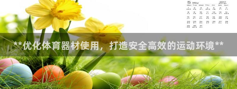 星欧娱乐游戏官网：**优化体育器材使用，打造安全高效的运动环