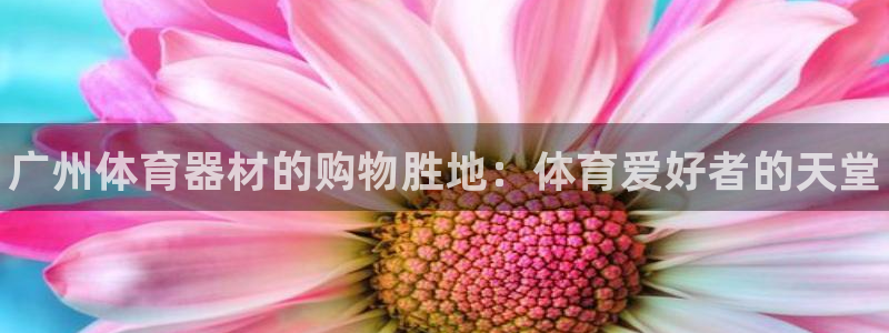 星欧娱乐平台：广州体育器材的购物胜地：体育爱好者的天堂