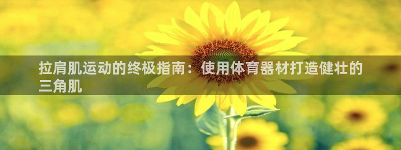 星欧娱乐扣款流程详解图片：拉肩肌运动的终极指南：使用