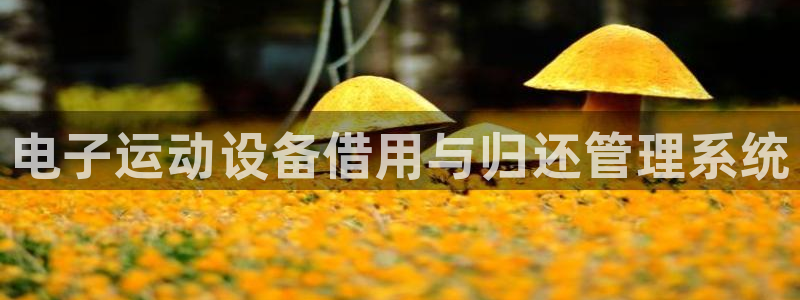 星娱乐包月业务是什么