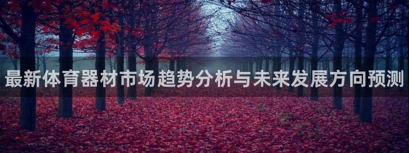 江苏星奥娱乐有限公司：最新体育器材市场趋势分析与未来发展方向