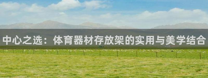 星欧娱乐公司电话号码查询：中心之选：体育器材存放架的实用与美 