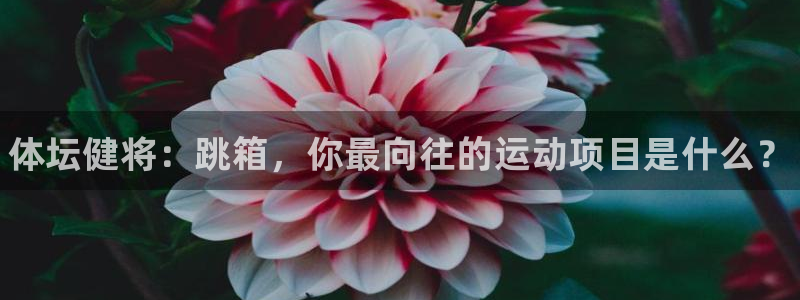 江苏星奥娱乐有限公司报名：体坛健将：跳箱，你最向往的