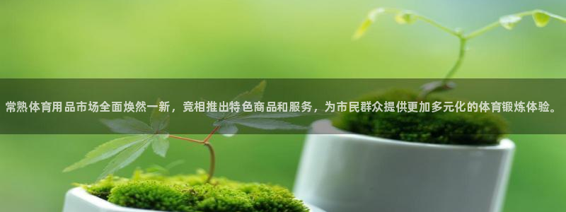 星欧娱乐信存手机版下载