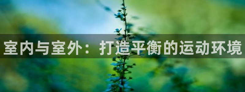 星欧娱乐伐官网注册：室内与室外：打造平衡的运动环境