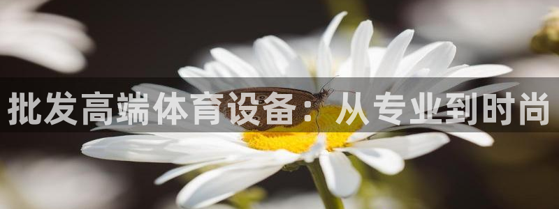 星欧娱乐公司简介：批发高端体育设备：从专业到时尚