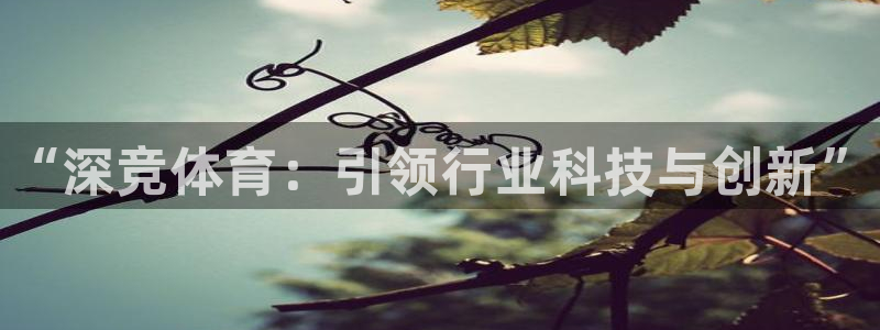 星欧娱乐联最新功能介绍：“深竞体育：引领行业科技与创新”