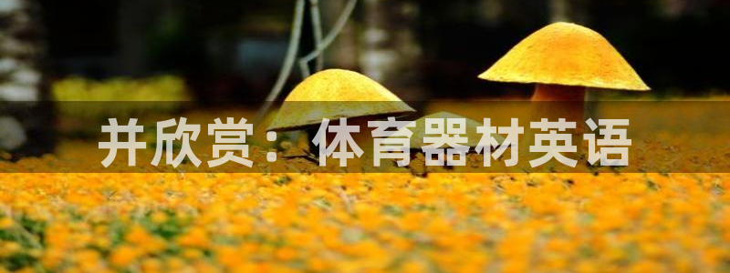 江苏星奥娱乐有限公司怎么样：并欣赏：体育器材英语