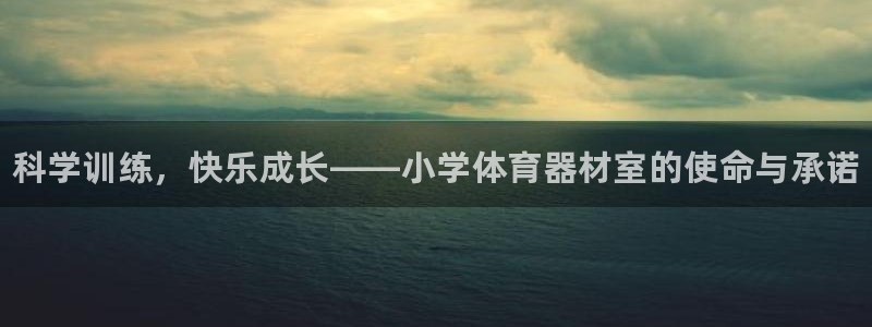 星欧娱乐平台都7O777：科学训练，快乐成长——小学体育器材