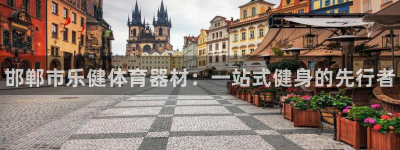 星欧娱乐扣费处理方法：邯郸市乐健体育器材：一站式健身