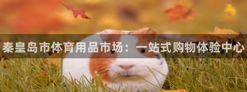 星欧娱乐官网下载安装：秦皇岛市体育用品市场：一站式购物体验中 