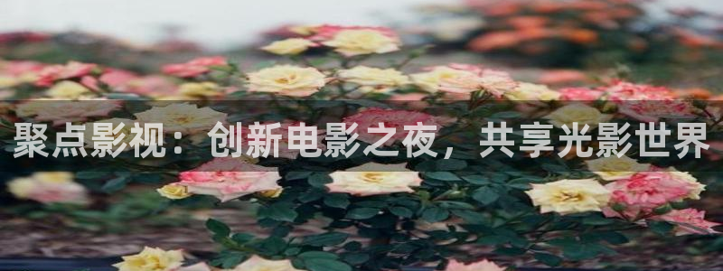 大海影视新版