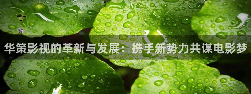 大海影视在线观看免费