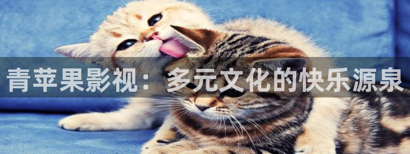大海影视在线观看电影