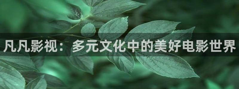大海影视最新版本