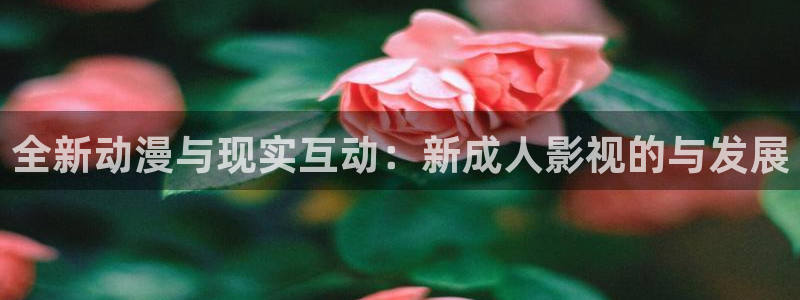 下载大海影视