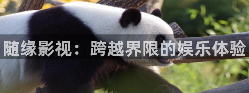 大海影视免费版下载安装