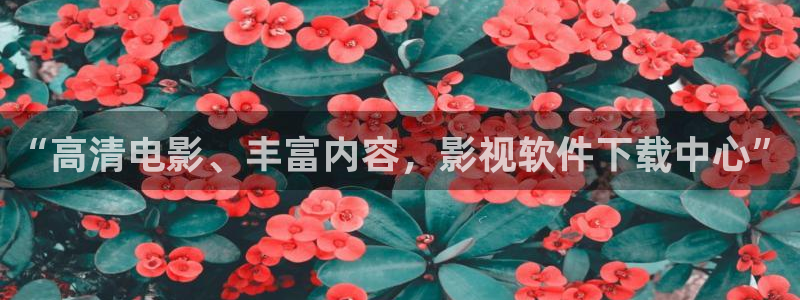 大海影视大全免费观看